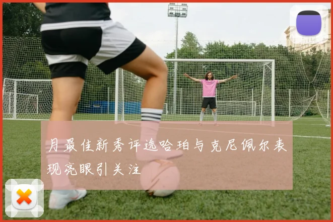 月最佳新秀评选哈珀与克尼佩尔表现亮眼引关注