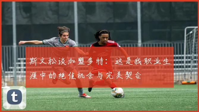 斯文松谈加盟多特：这是我职业生涯中的绝佳机会与完美契合