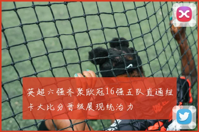 英超六强齐聚欧冠16强五队直通纽卡大比分晋级展现统治力
