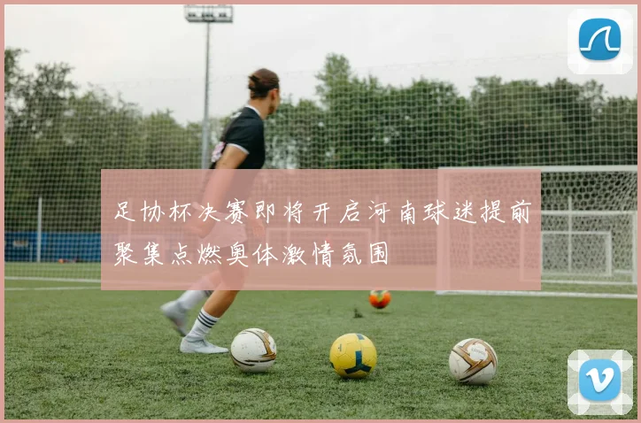 足协杯决赛即将开启河南球迷提前聚集点燃奥体激情氛围